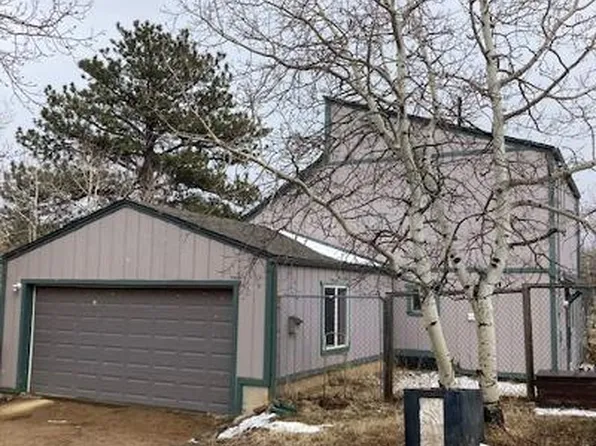 398 Aspen Drive, Bailey, CO 80421