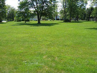 Wide open backyard