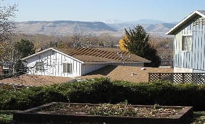 View from back yard