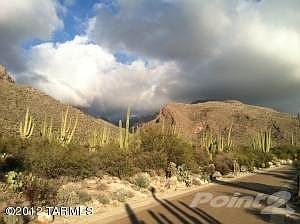 Desert Garden