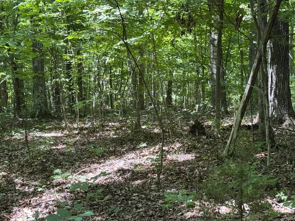 Friendship Rd N, Afton, TN 37616