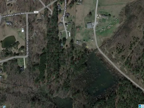 725 Fox Valley Farms Rd #1, Maylene, AL 35114