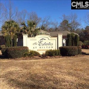 0 Hilton View Ct, Chapin, SC, 29036