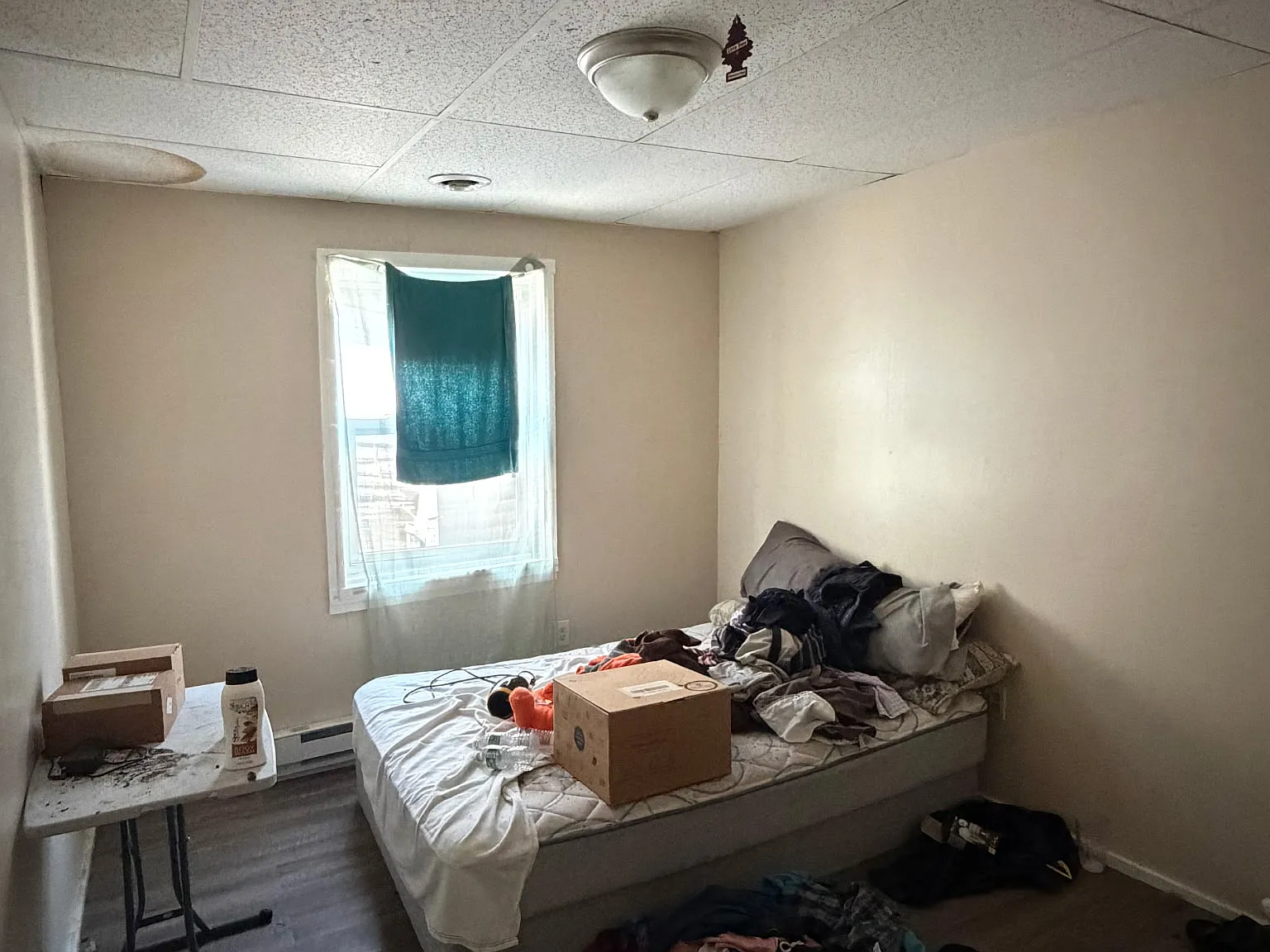 2 bed, 700 sqft, $1,450 — Photo 3