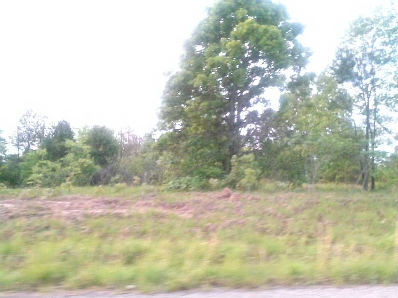 Lots cleared in the front 