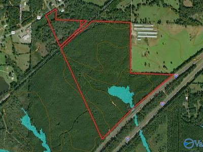 110 Acres Hwy #11, Ashville, AL, 35953