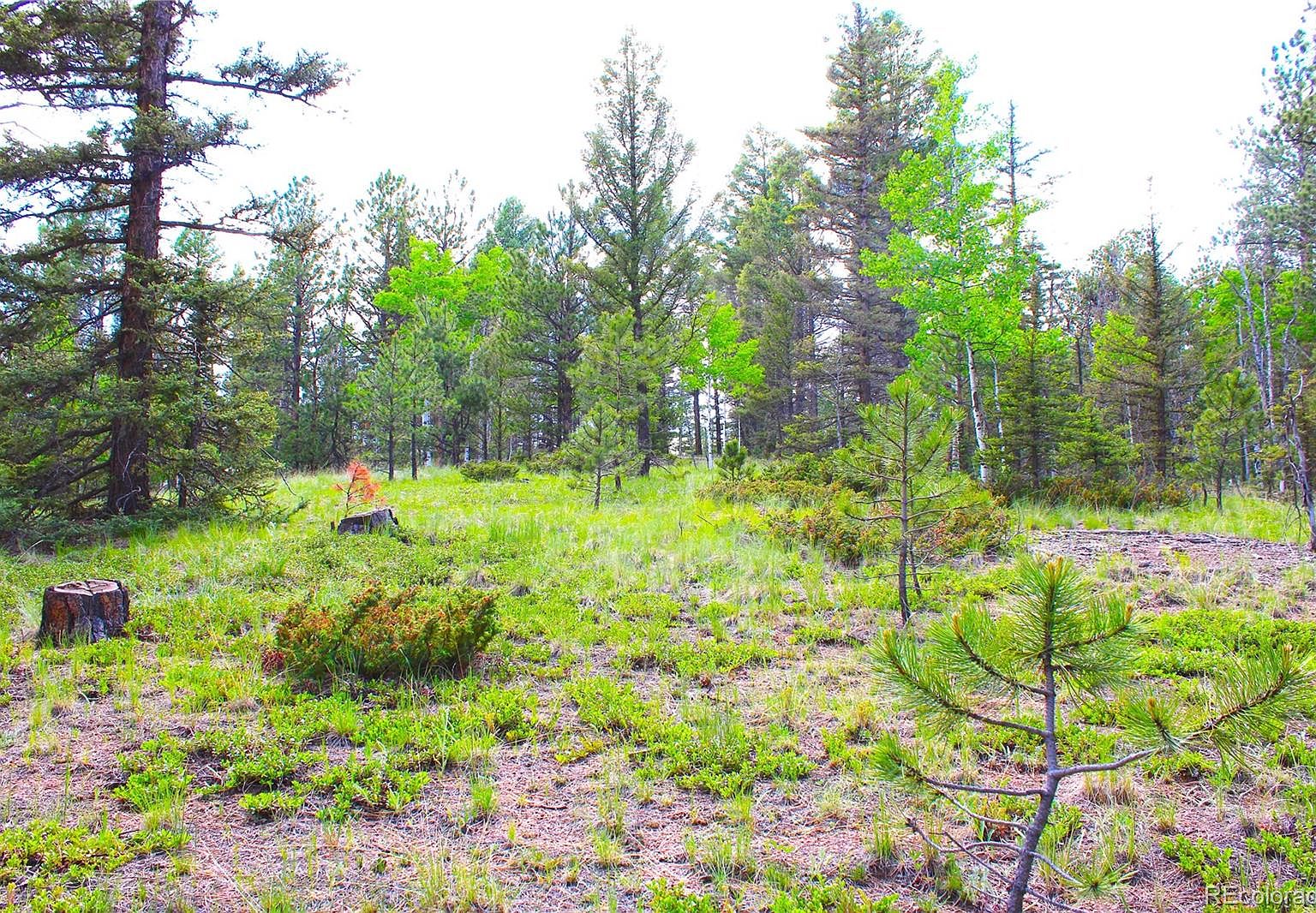 607 Gold Dust Creek Road Lot L39, Florissant, CO 80816 Zillow