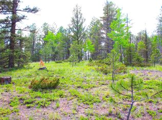 607 Gold Dust Creek Rd #L39, Florissant, CO 80816