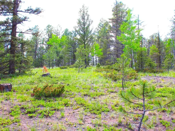 607 Gold Dust Creek Road LOT L39, Florissant, CO 80816