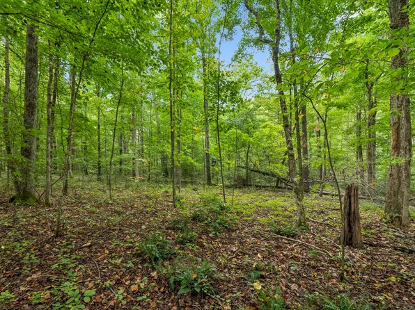 0 Tidwell Switch Rd #1, Bon Aqua, TN 37025