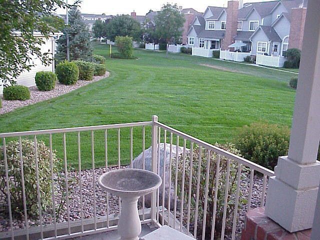 LOOKING SOUTH