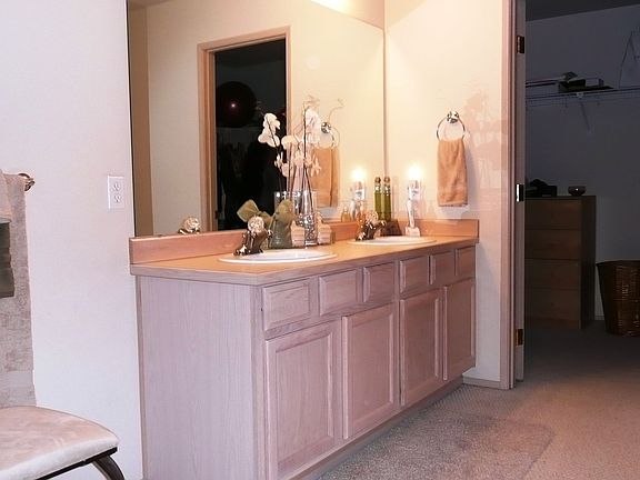 Master bath & walk-in closet