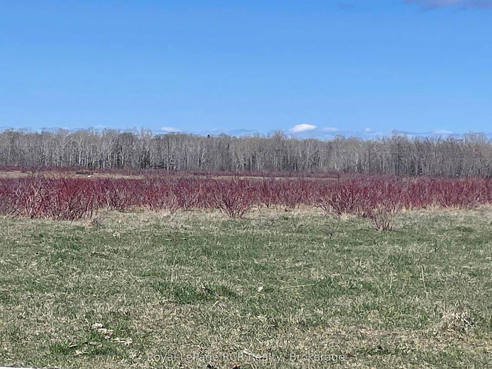 1st image of 250 Scotch Line Rd