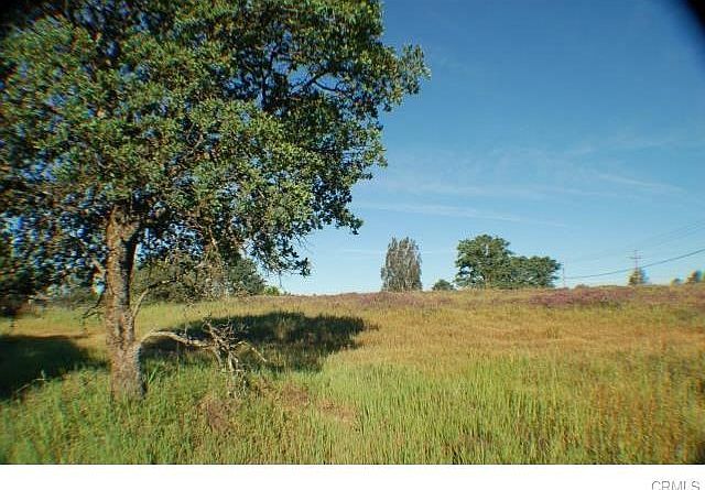 1st image of Olive Hwy