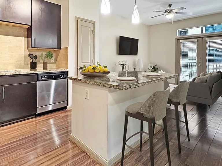 2700 Brazos St #4412 — Photo 4