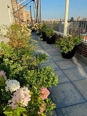 Rented by Mallan Real Estate Inc | media 22