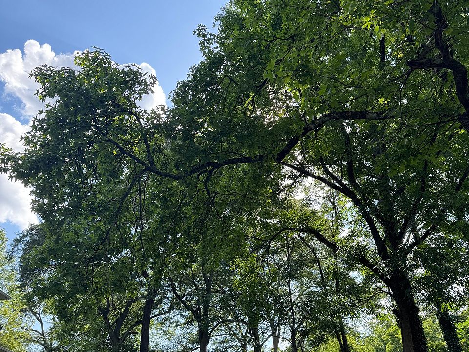 1st image of 89 Ericson St