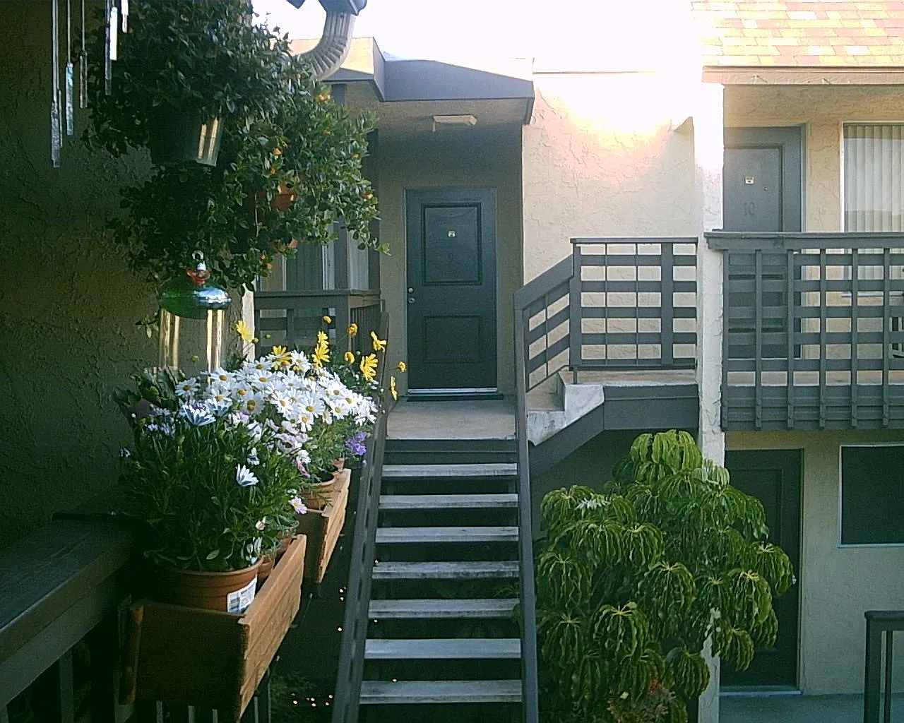 1 bed, 700 sqft, $1,795 — Photo 2