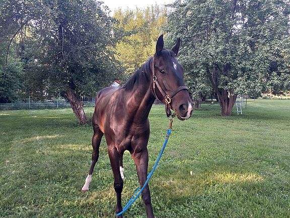 fruit trees behind him