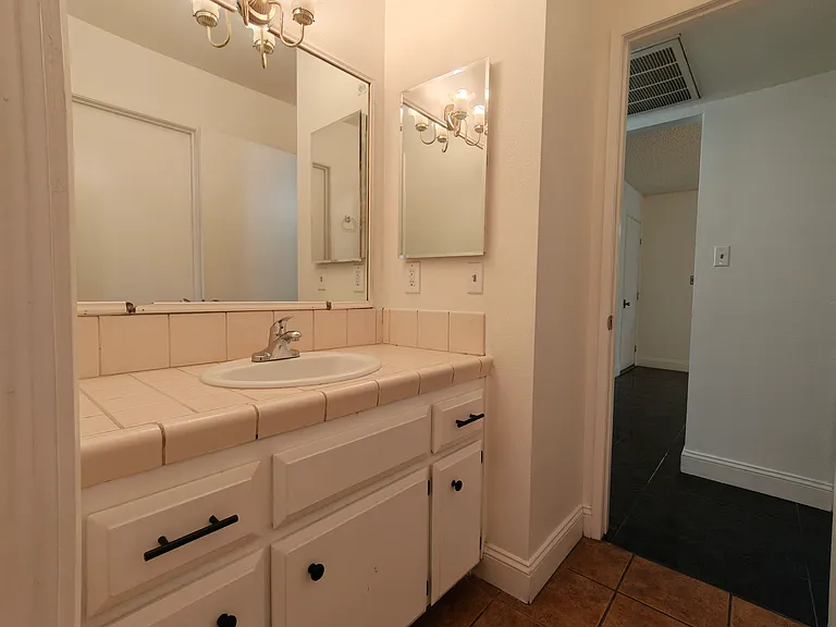 4521 Blossom Valley Ln — Photo 11