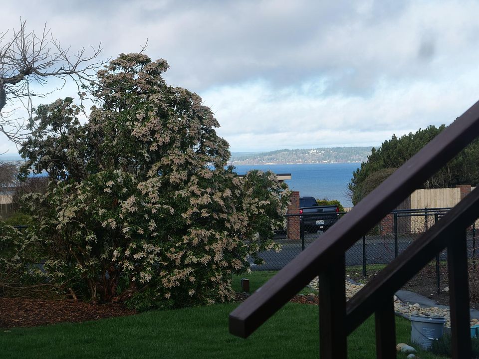 Yard, View and Garden