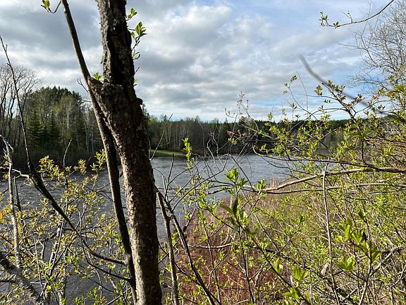 5th image of 3741 Aroostook Road