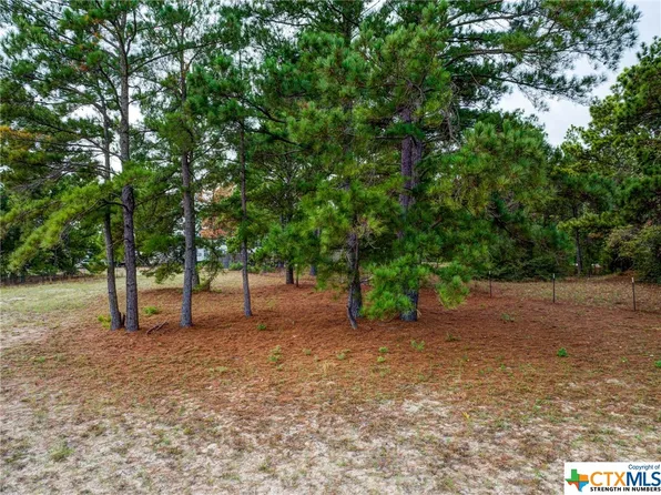 Pine View Loop, Bastrop, TX 78602