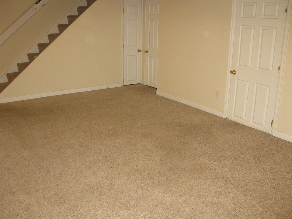 Basement Living Area