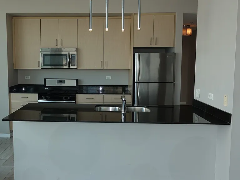 1620 S Michigan Ave #805 — Photo 10