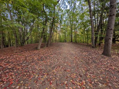 V/l E Kissing Oaks Trl #164, Custer, MI, 49405