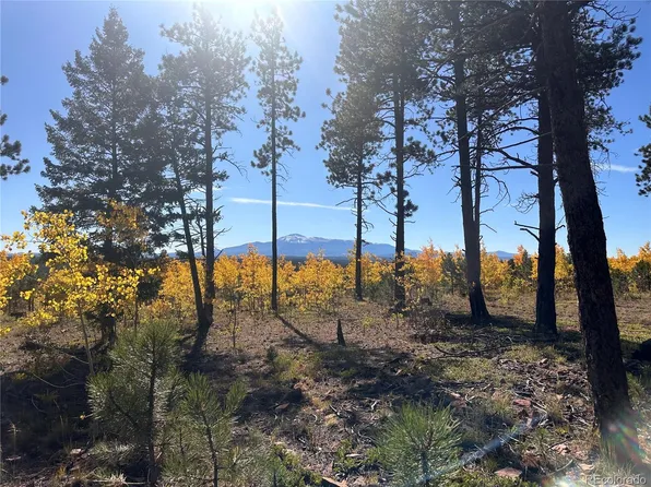 Lot 3 County Road 51, Florissant, CO 80816