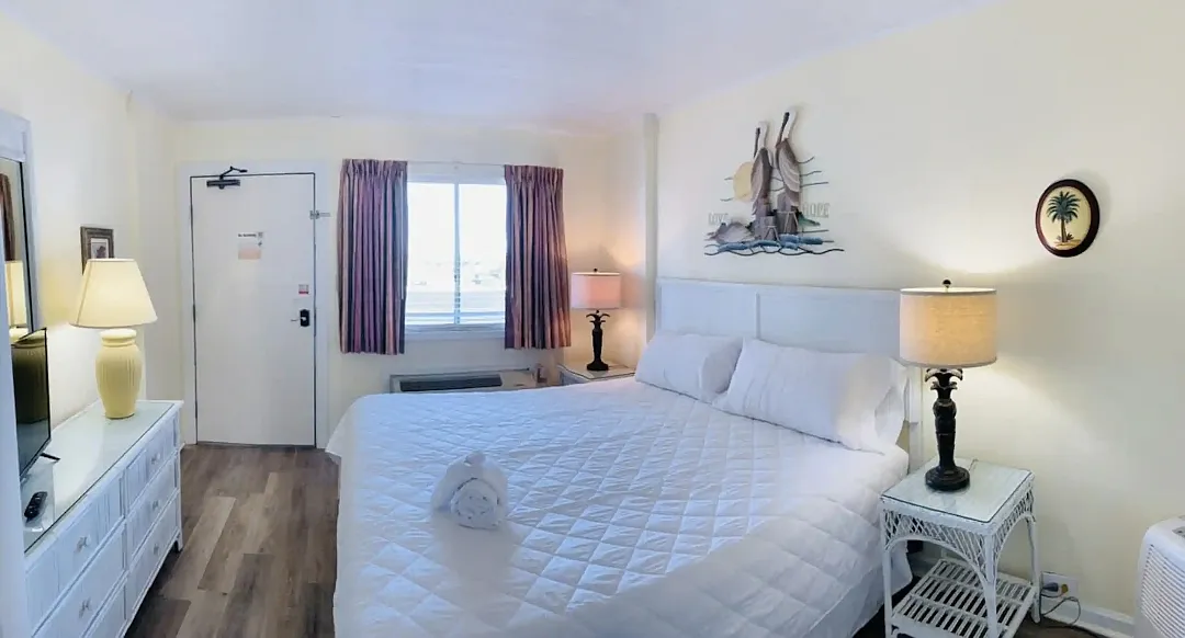 1 bed, 550 sqft, $1,600 — Photo 2