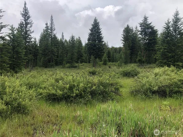 36 Corral Drive, Oroville, WA 98844