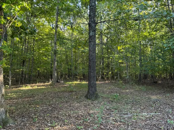 3 Decatur Rd, Russell Springs, KY 42642