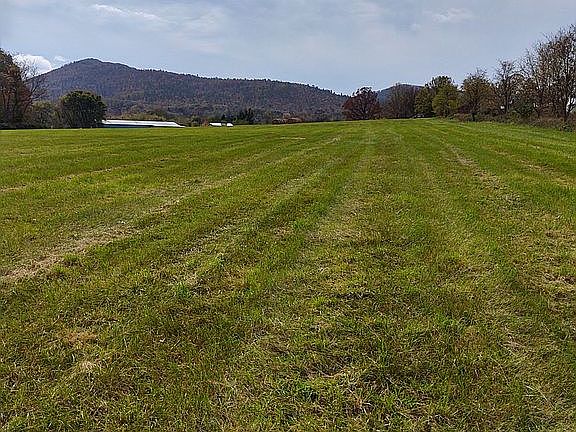 3rd image of 205 Nauman Ln