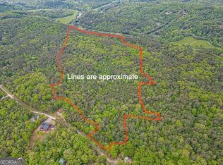 0 Bench Leg Rd, Mineral Bluff, GA 30559
