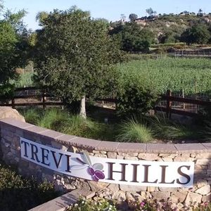 11935 Via Trevi, Lakeside, CA, 92040