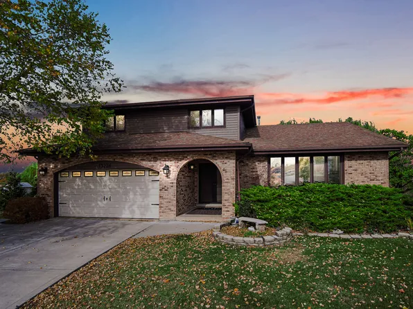 13226 W Farm View St, Homer Glen, IL 60491