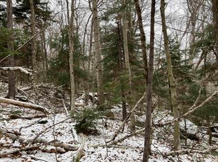 Lots 419 & 420 Shincracker Way #M420 & M419, Wilmington, VT 05363