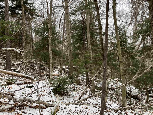 Lots 419 & 420 Shincracker Way #M419 & M420, Wilmington, VT 05363
