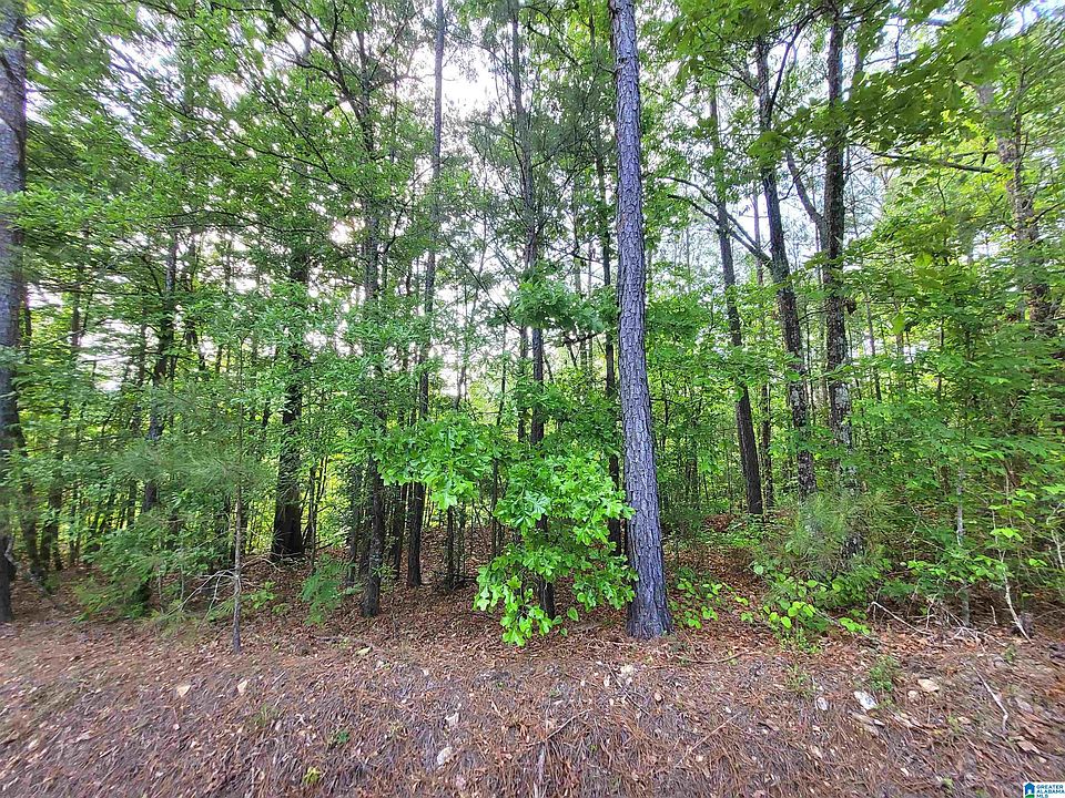 2nd image of 0 Howell Cove Rd #1