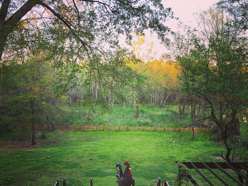 View from the sun porch.