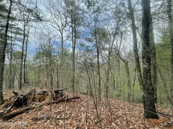 0 Walnut Flats Rd Lot 1, Walland, TN 37886