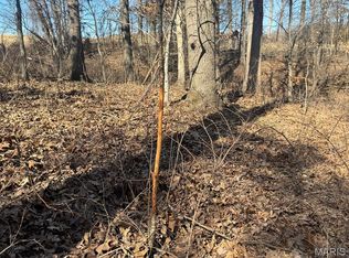 0 Willow Ln, Monroe City, MO 63456