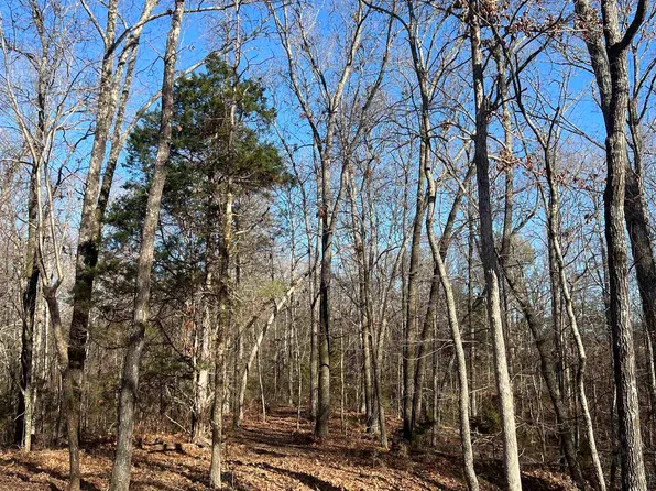 0 Highway 57, Saulsbury, TN 38067