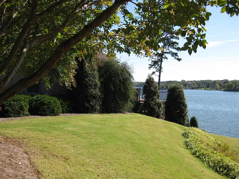 Side View #2