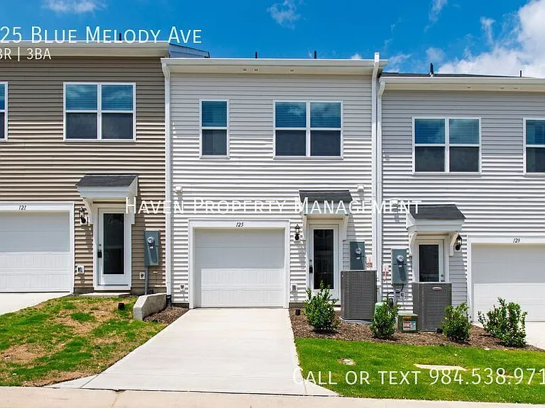 125 Blue Melody Ave — Photo 28