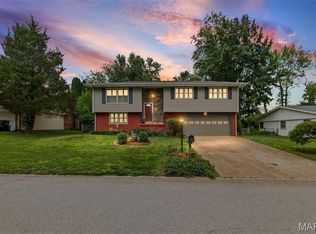 1029 Five Forks Dr, Belleville, IL 62221