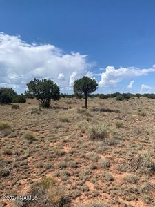 794 S Spruce Rd #372, Williams, AZ, 86046