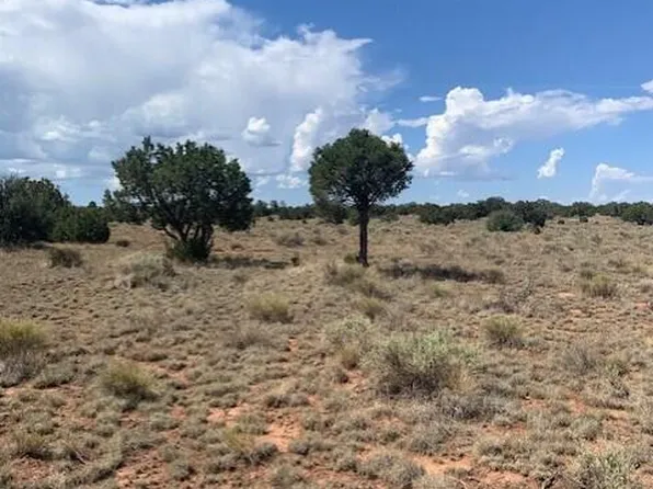 794 S Spruce Rd #372, Williams, AZ 86046